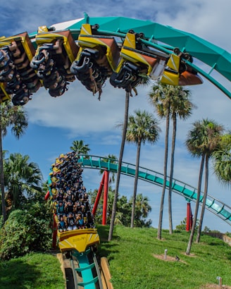 Coastal Vibe Travel - Theme Parks - blue yellow and red rollercoaster