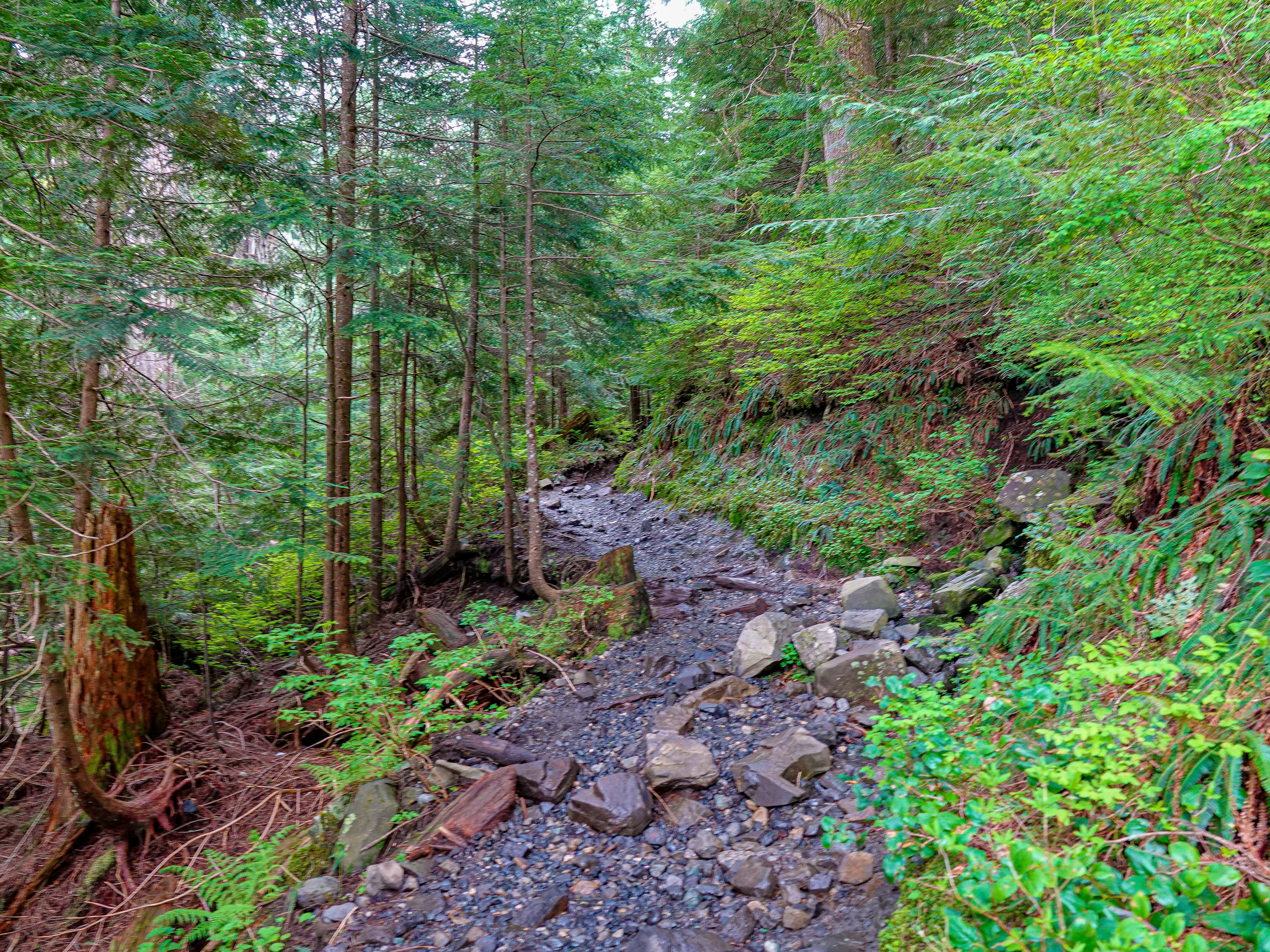 Photo by pavlpolo_official