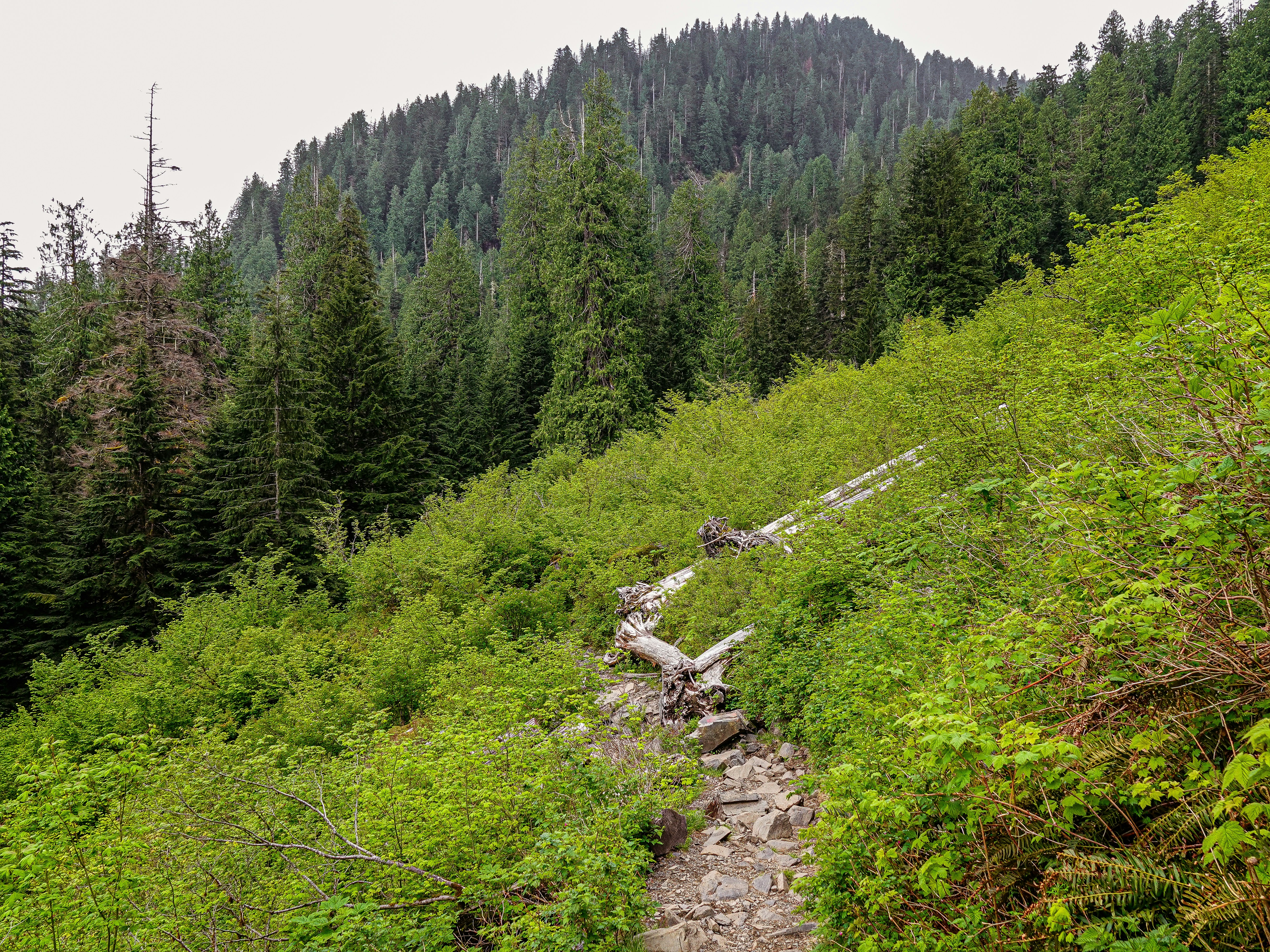 Photo by pavlpolo_official