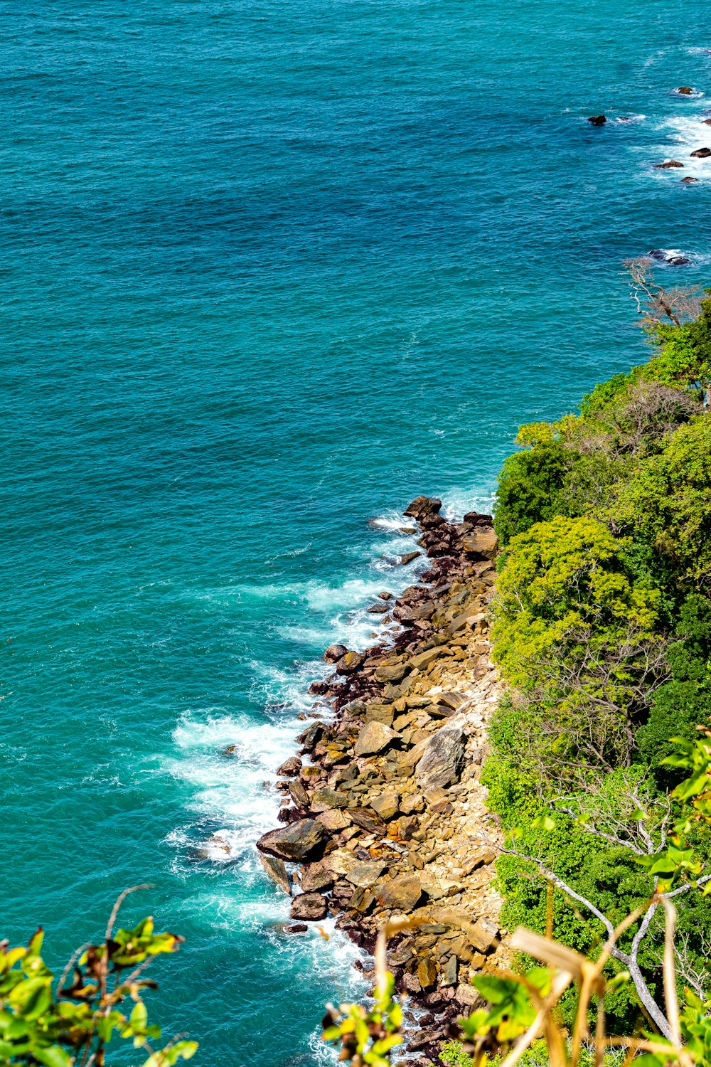 green grass on rocky shore during daytime