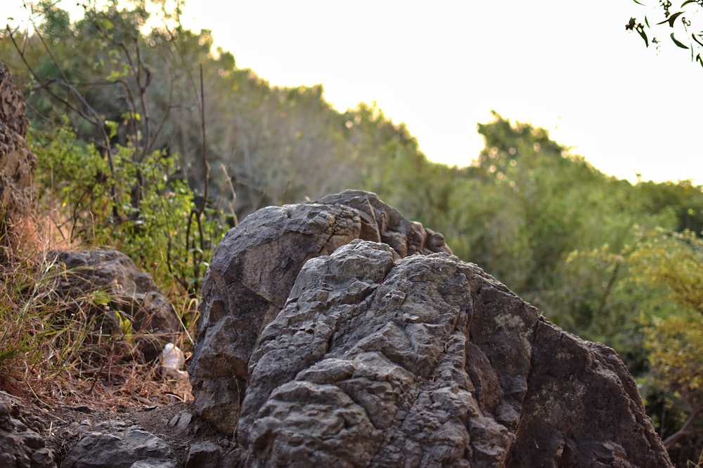 brown rock formation near green trees during daytime