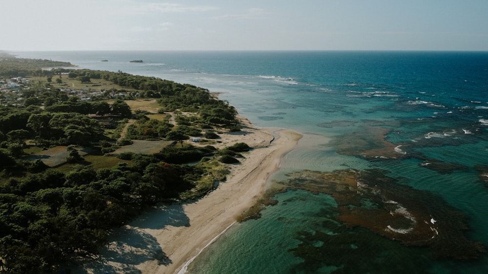 aerial view of green and brown island during daytime