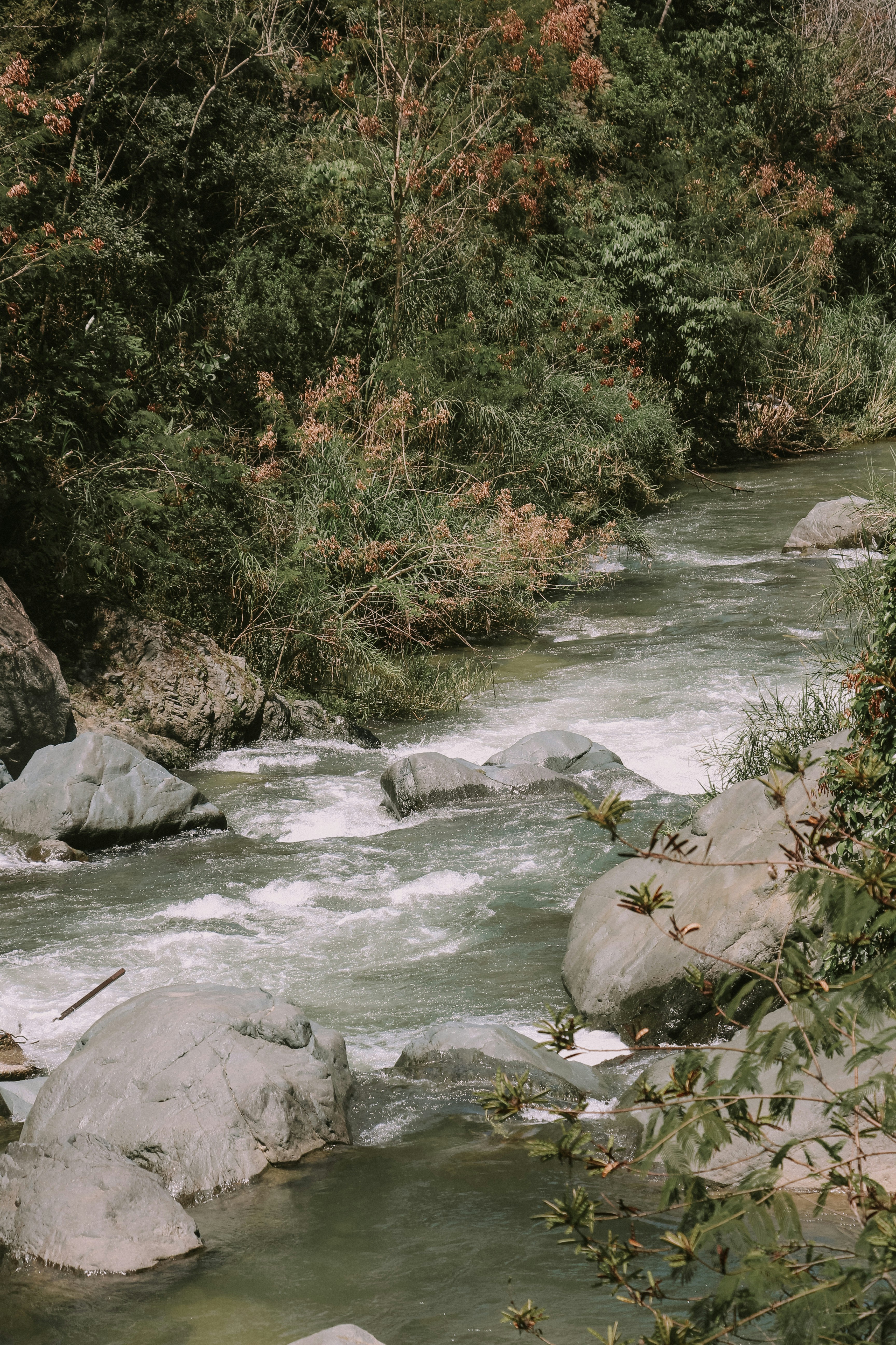 Photo by emelymarchena