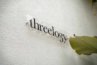 A textured white wall features the word 'threeology' written in a sleek, modern font with a transparent backing. A large green leaf is positioned to the right, adding a natural element to the minimalistic design.