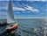 A sailboat with a red hull is afloat on a vast body of water under a bright blue sky. The sails are hoisted, and a person is seated at the rear of the boat. The sea appears slightly choppy with small waves reflecting the sunlight. A distant shoreline and scattered clouds are visible in the background.