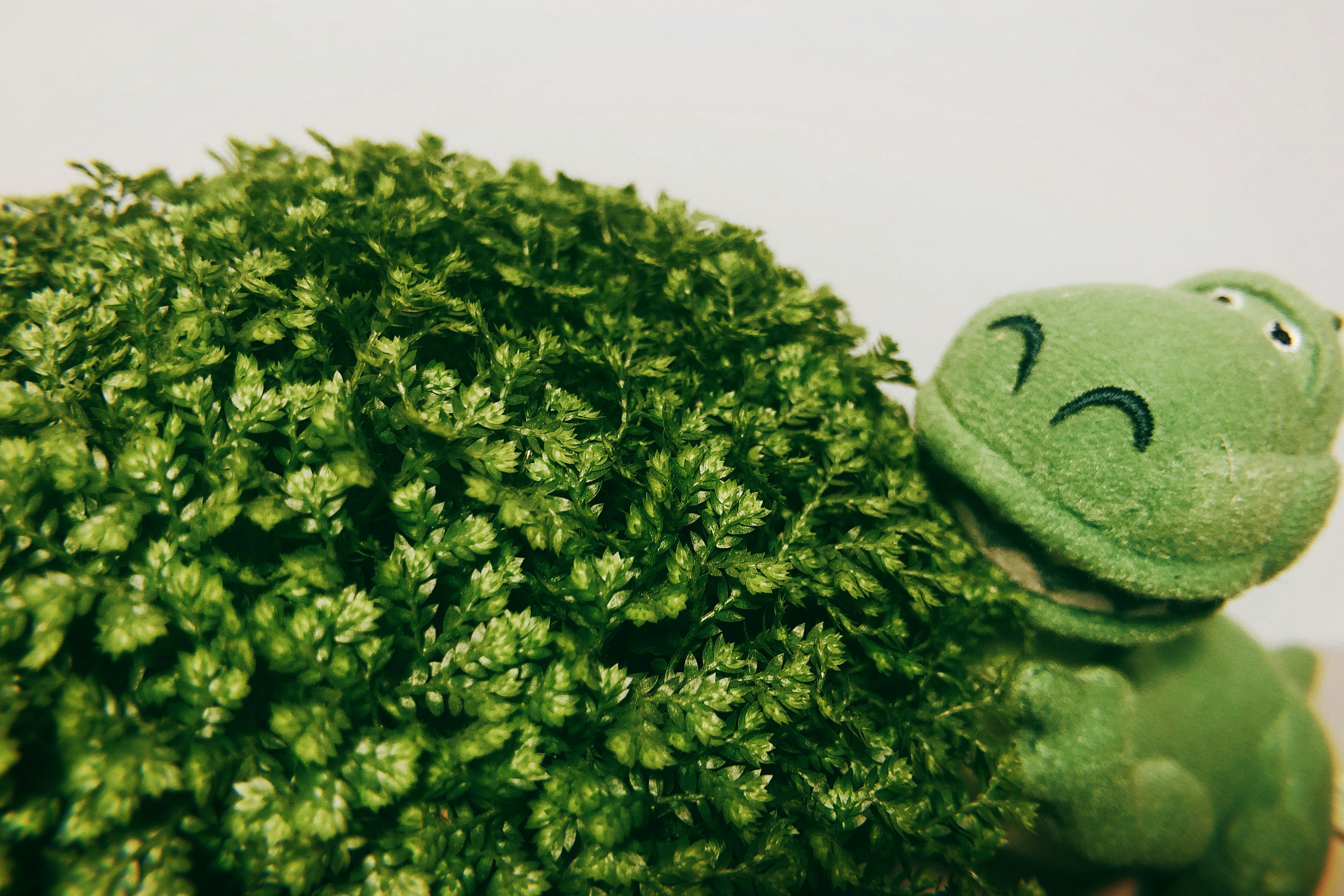 7 Healthy Vegan Snack Recipes for Clean Energy