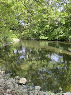 A serene pond freshly shaped with natural stone edging surrounded by trees.