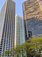 brown high rise building near green trees during daytime