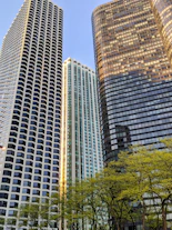 brown high rise building near green trees during daytime