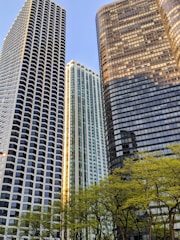 brown high rise building near green trees during daytime