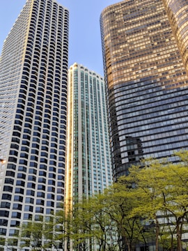 brown high rise building near green trees during daytime