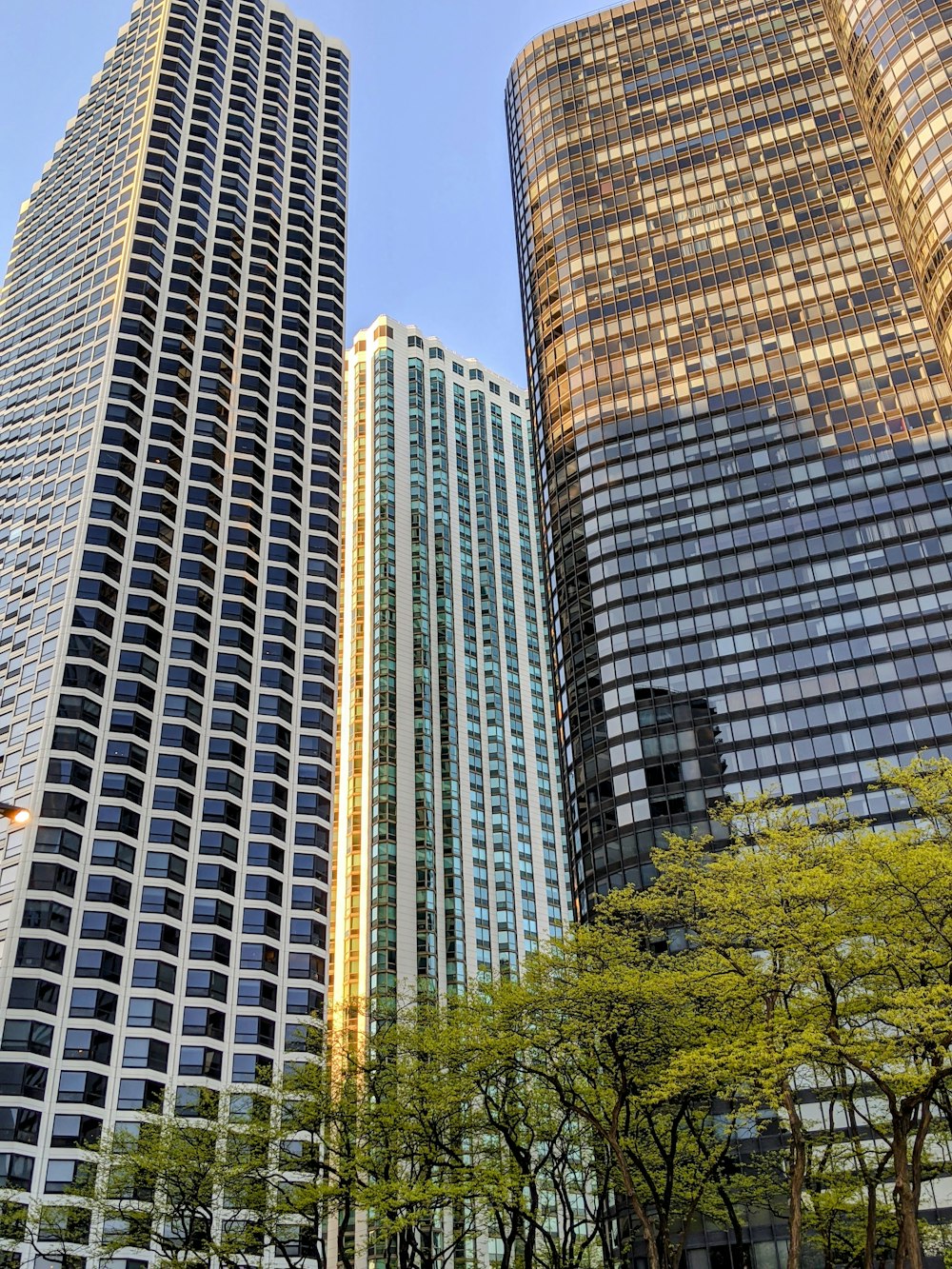 brown high rise building near green trees during daytime