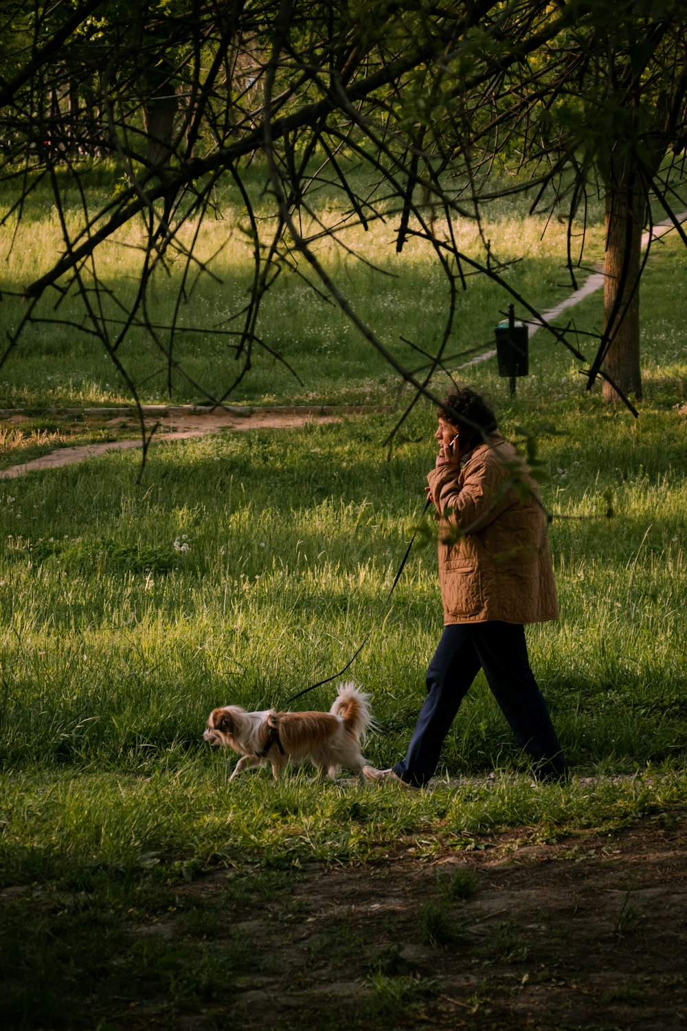 woman in brown coat standing beside white and brown dog on green grass field during daytime
