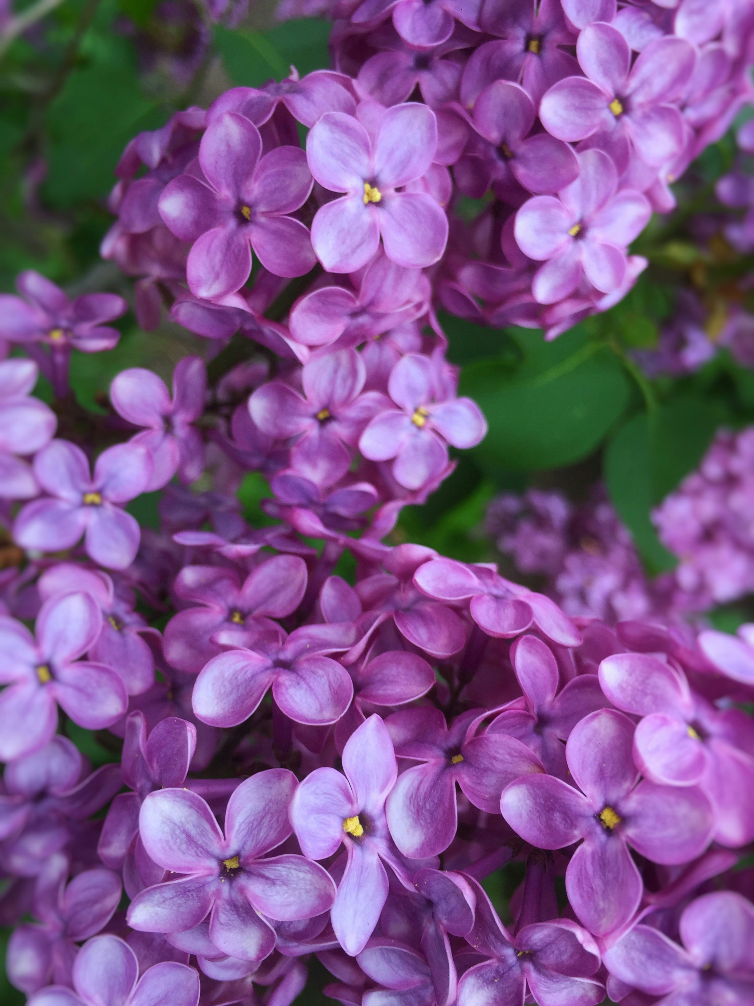 Photo by benjamindem