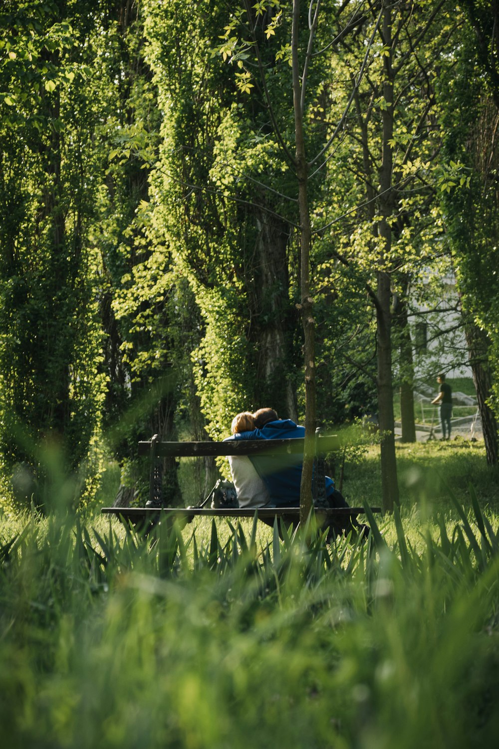 homem no capuz azul sentado no campo de grama verde cercado por árvores verdes durante o dia