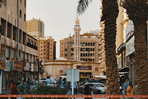 cars parked near palm trees and buildings during daytime