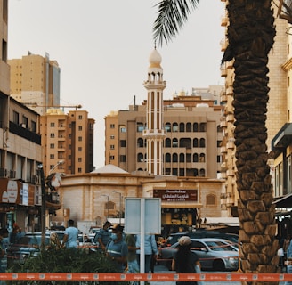 cars parked near palm trees and buildings during daytime