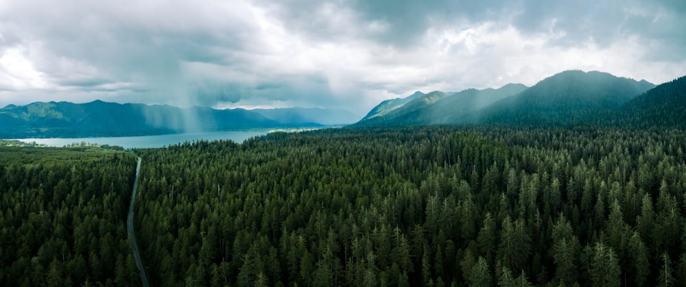 green trees near mountain under blue sky during daytime