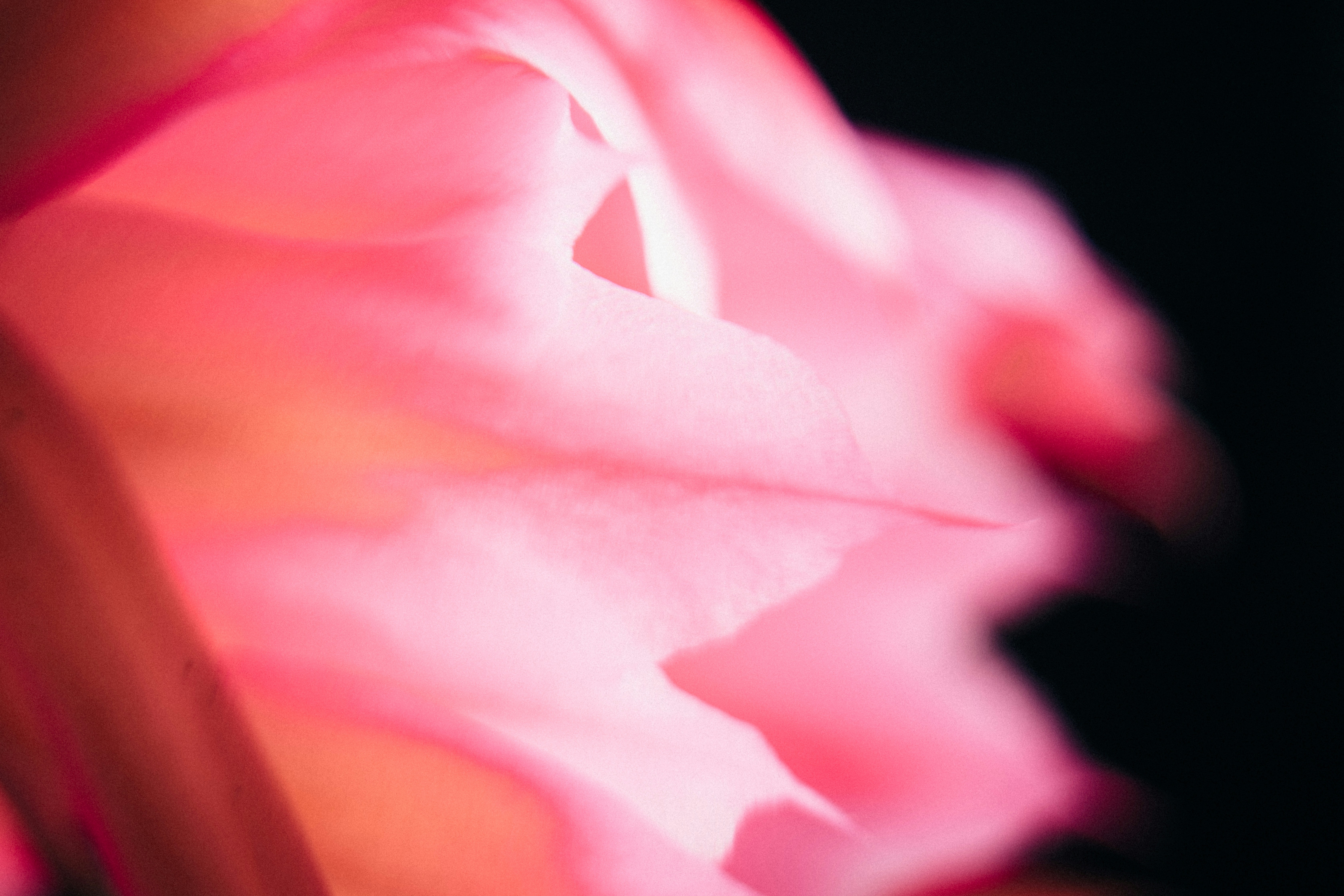 Photo by tsuyoshikozu