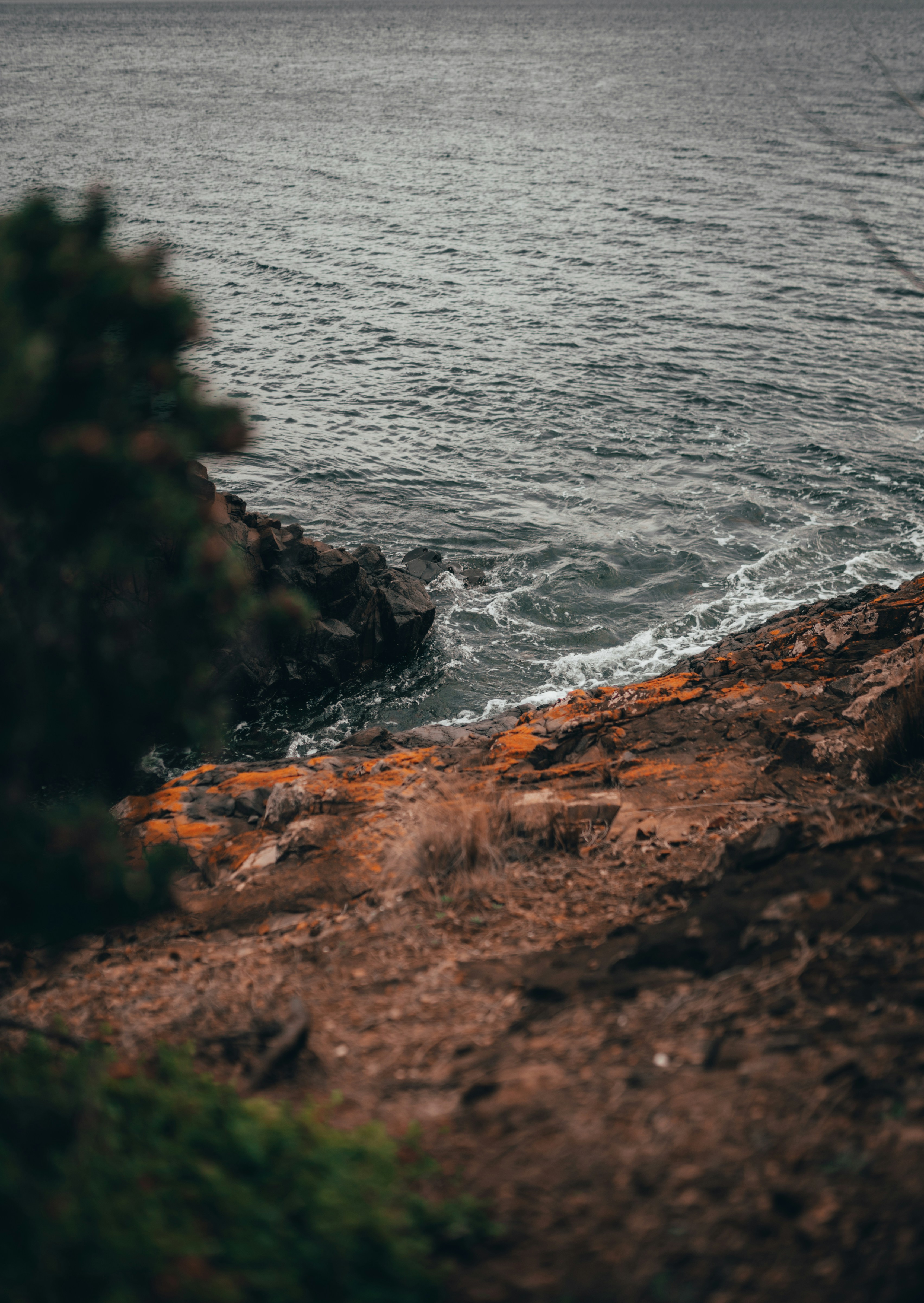 Photo by baileymahon