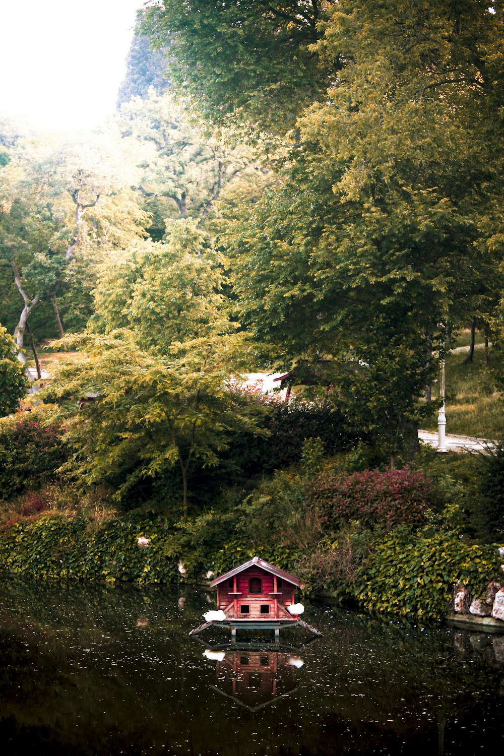 Maison rouge et blanche entourée d’arbres verts pendant la journée