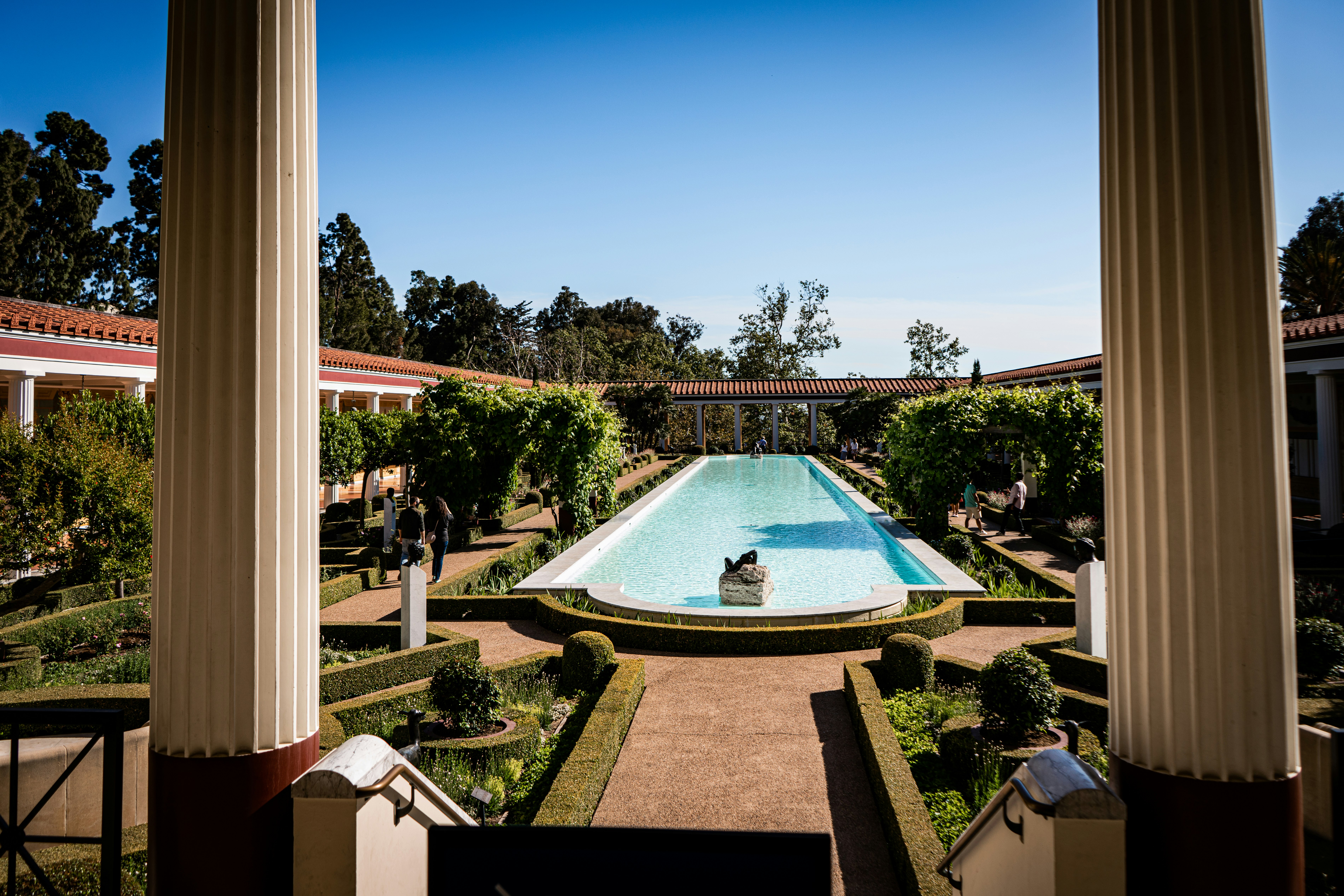 swimming pool near green trees during daytime