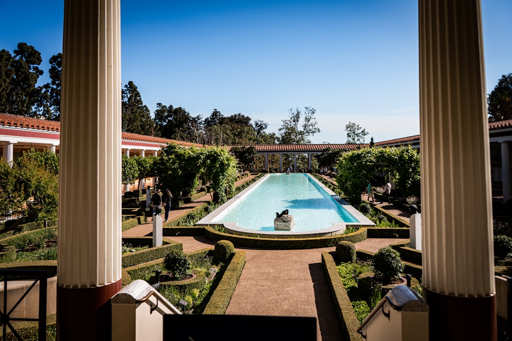 swimming pool near green trees during daytime