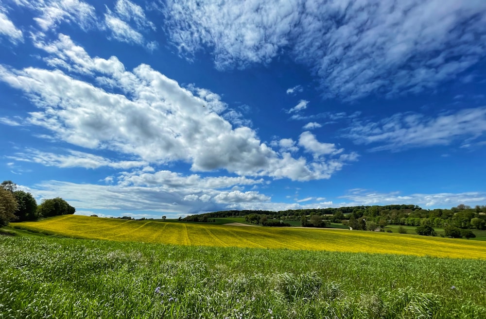 green grass field under blue sky and white clouds during daytime