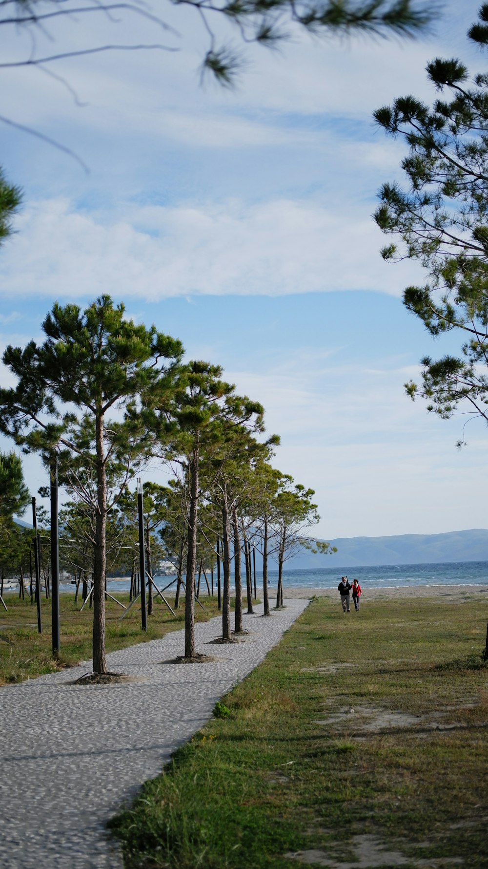 people walking on green grass field near green trees under blue sky during daytime