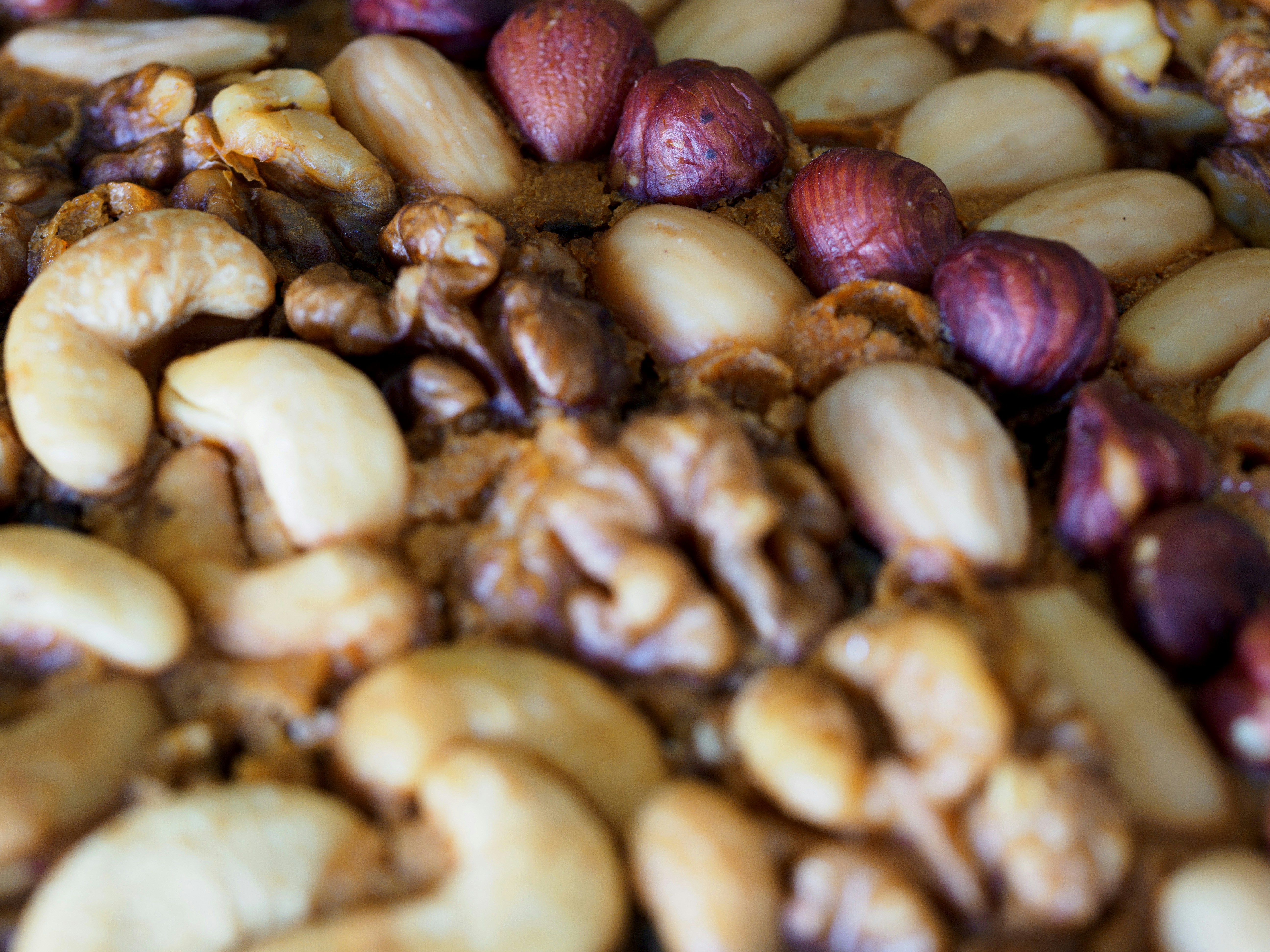 Photo by brett_jordan