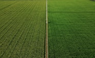white metal pole on green grass field during daytime