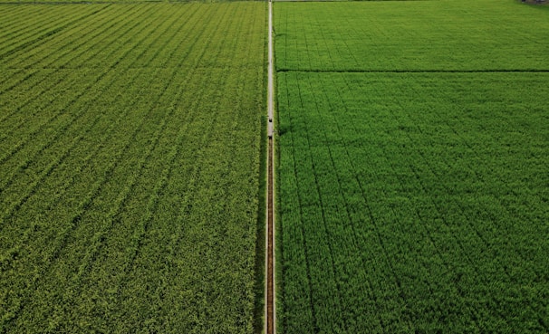 white metal pole on green grass field during daytime