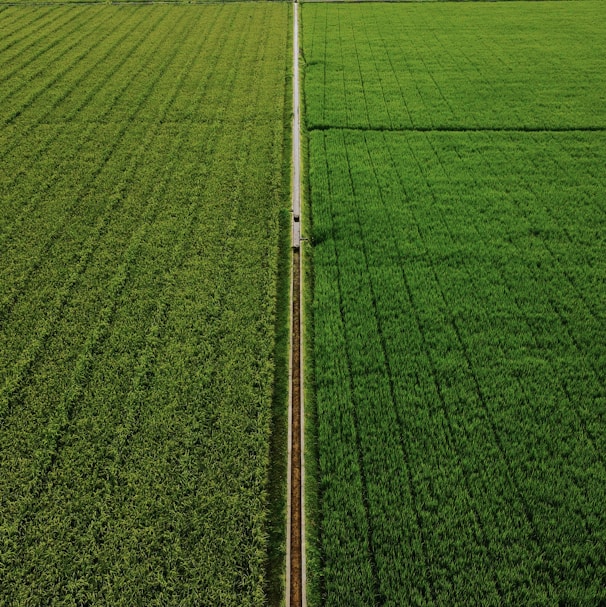 white metal pole on green grass field during daytime