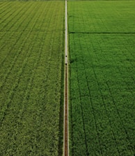 white metal pole on green grass field during daytime