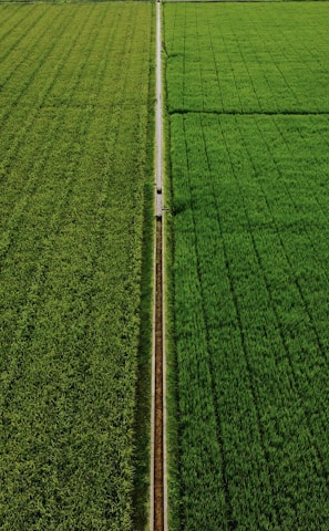 white metal pole on green grass field during daytime