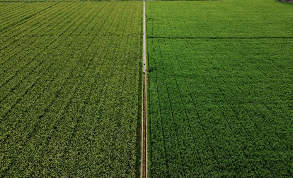 poteau en métal blanc sur le champ d’herbe verte pendant la journée