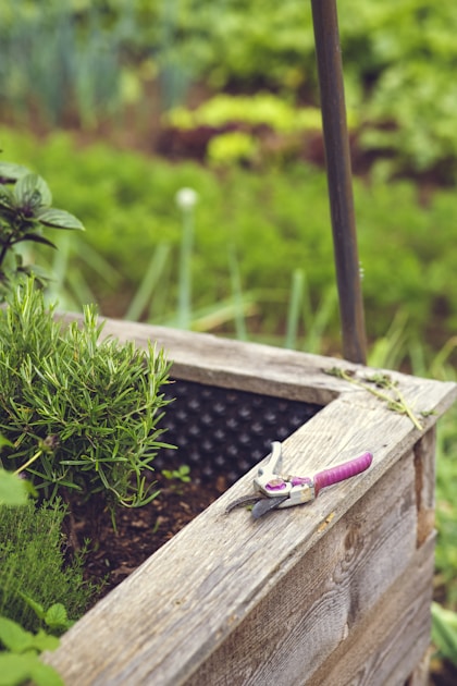 Best potting soil containers: helpful reference illustration