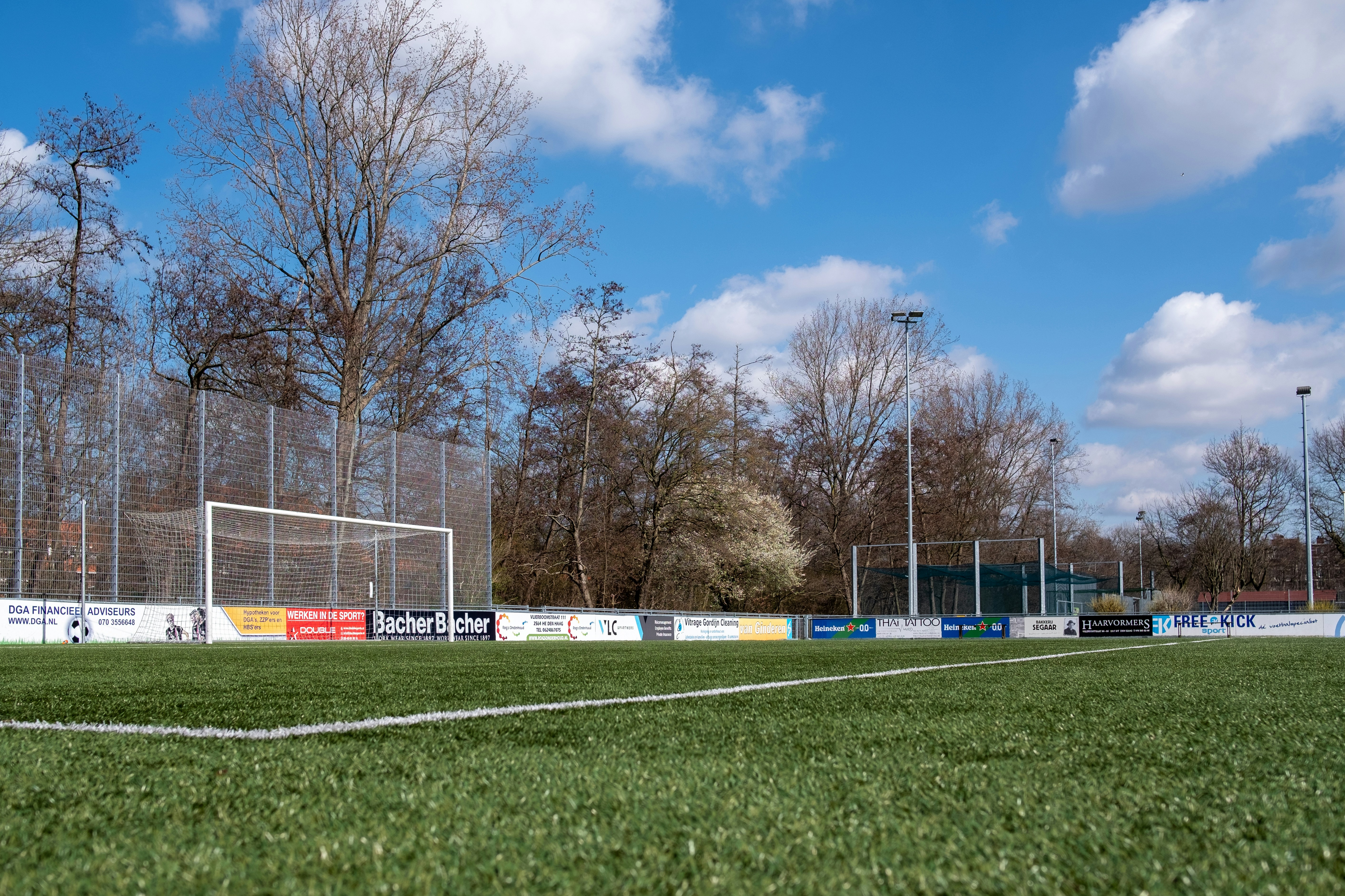 bare trees on green grass field under blue sky during daytime