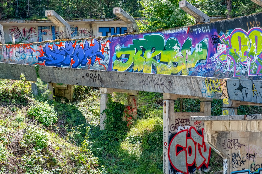 graffiti blu e bianchi su staccionata di legno marrone