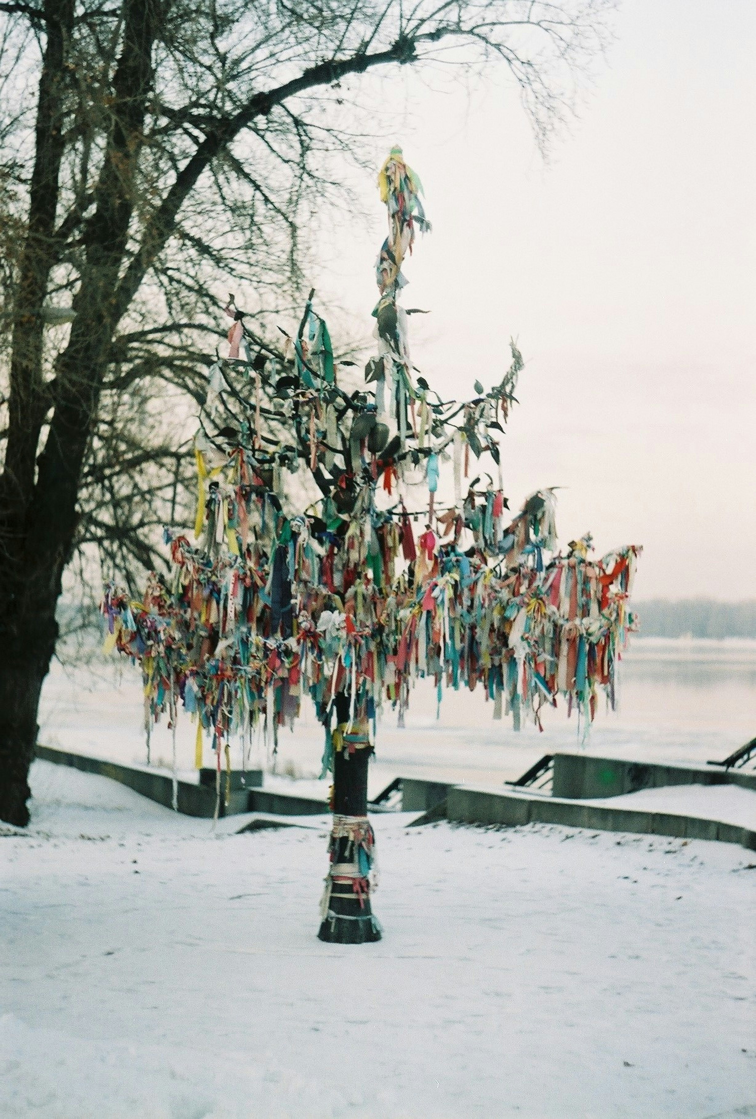 Ativador Windows 10 Latest Version Free Download 2021