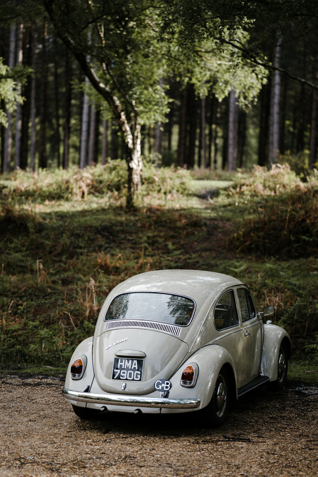 white volkswagen beetle on forest during daytime