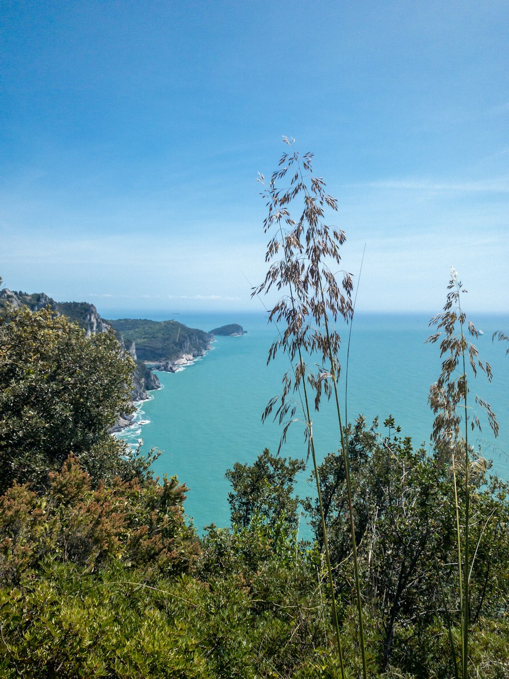 árboles verdes cerca del cuerpo de agua bajo el cielo azul durante el día