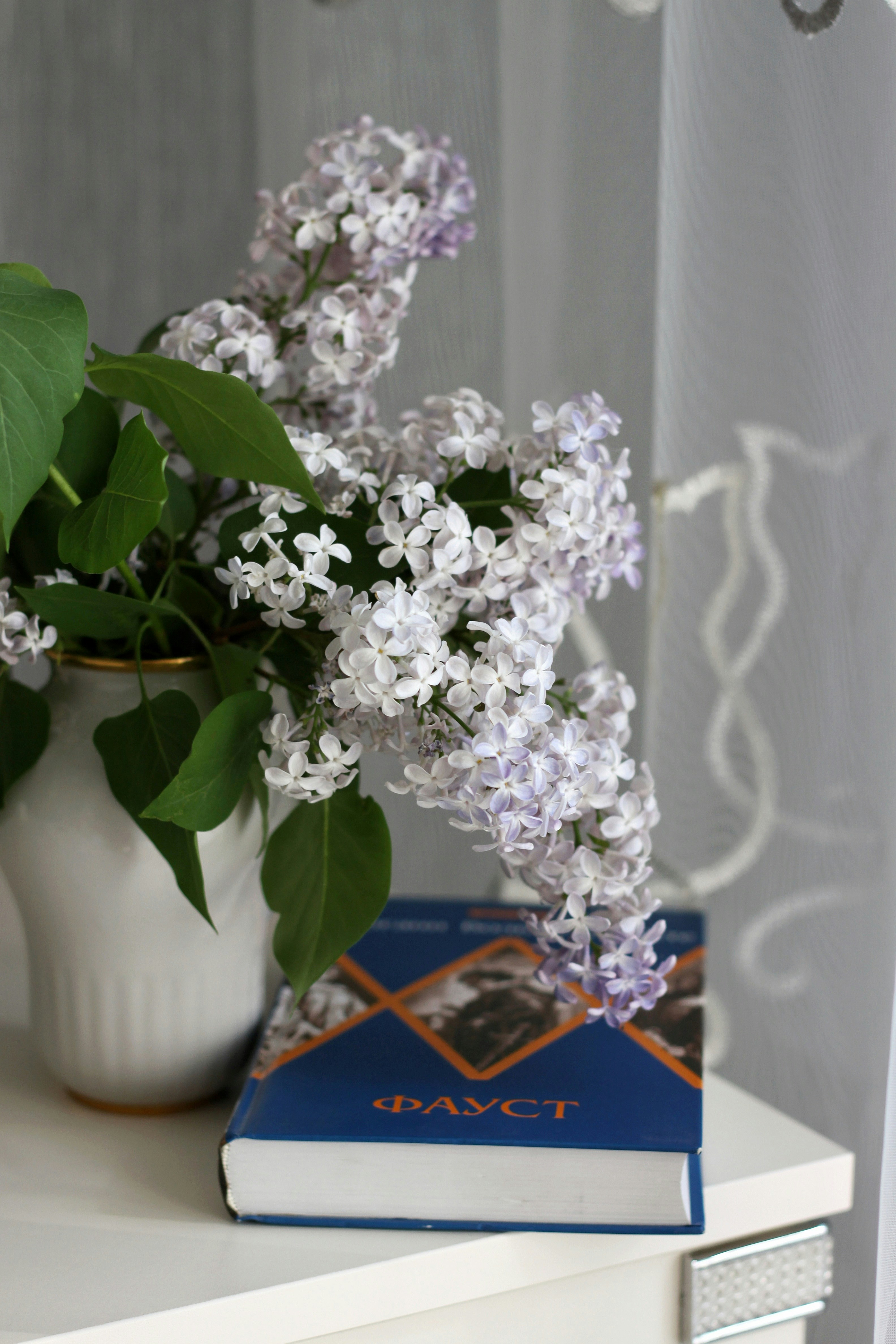 Photo by lilianflower