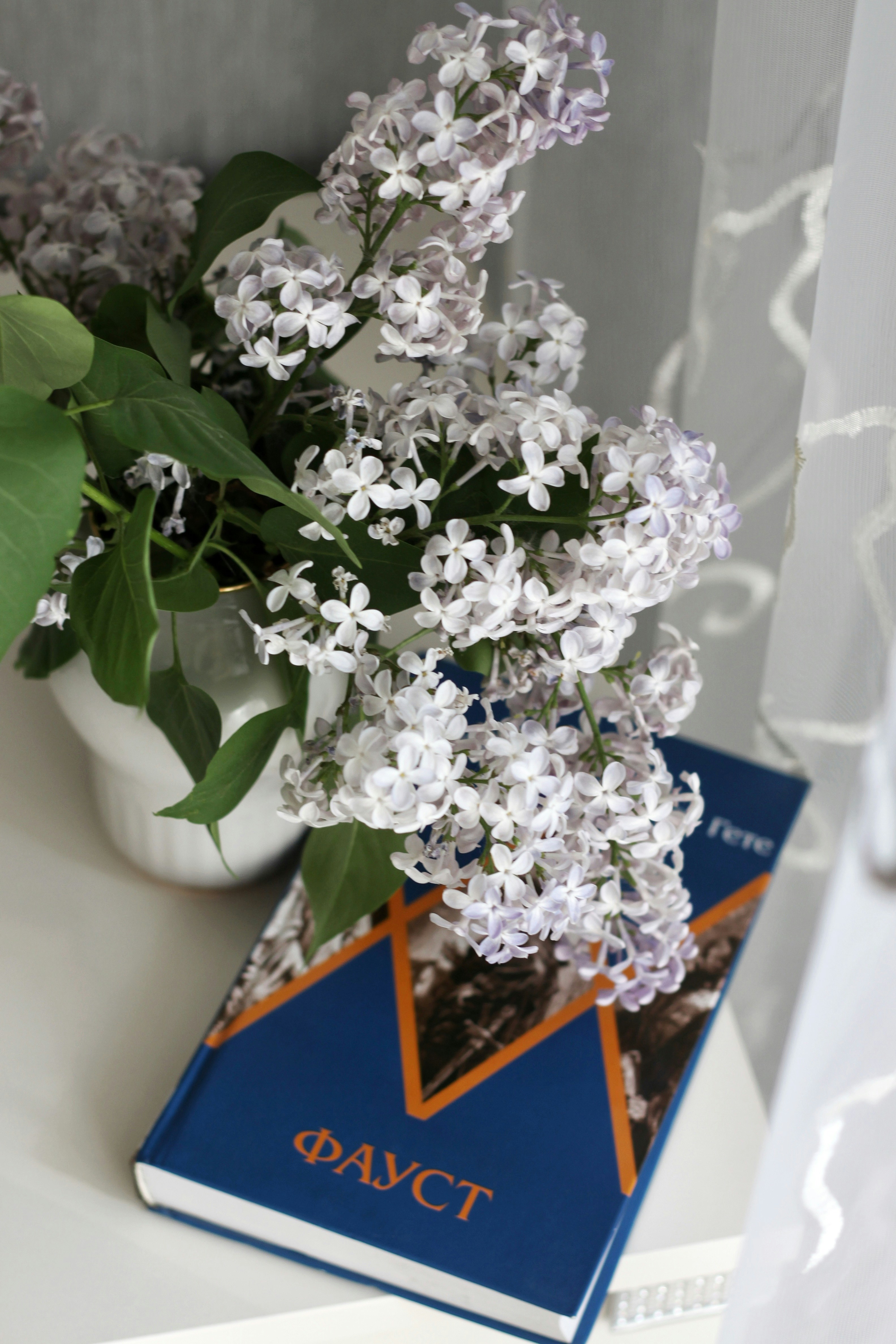 Photo by lilianflower