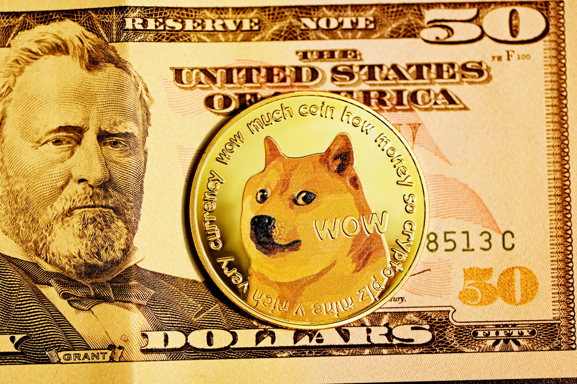 A Dogecoin 