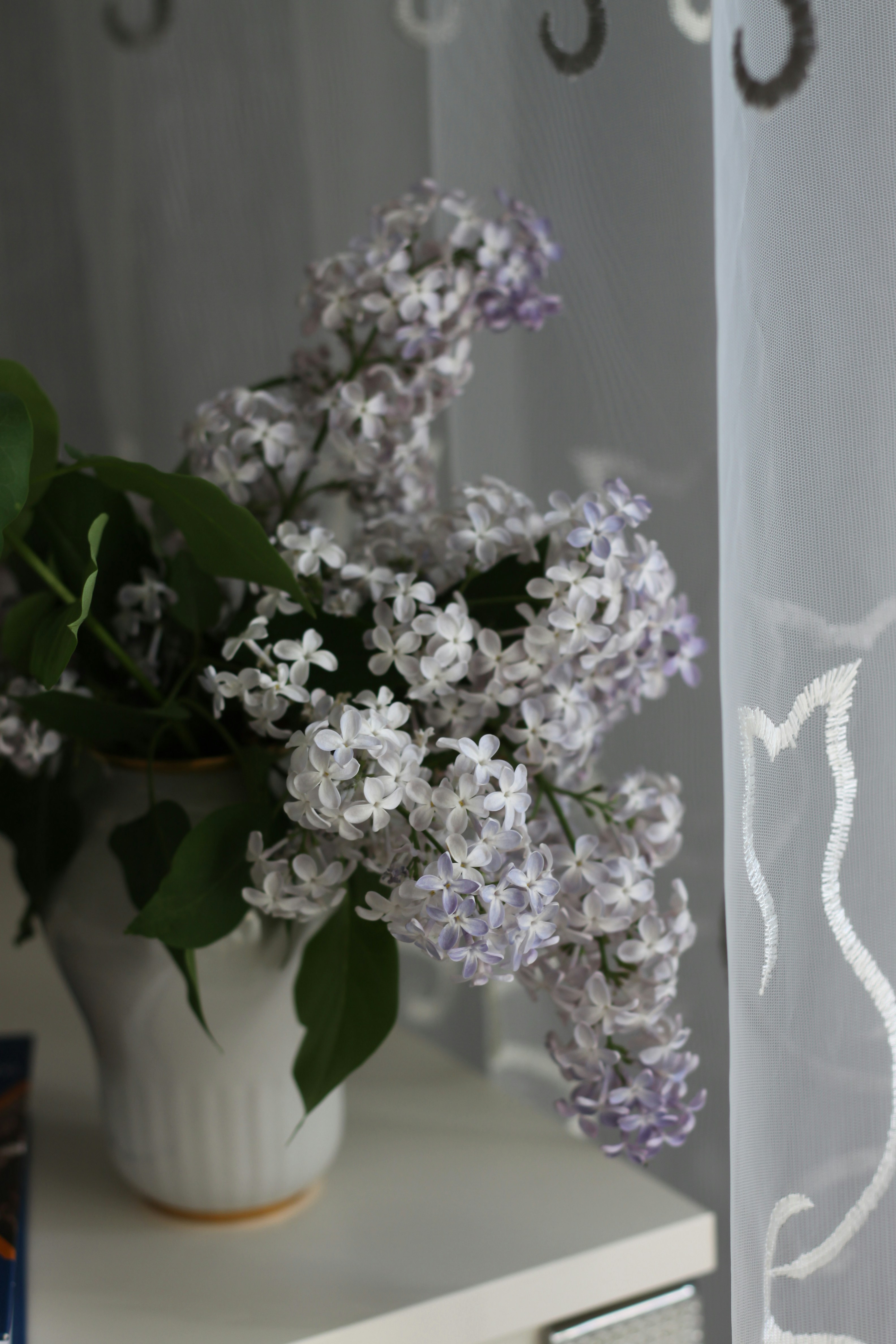 Photo by lilianflower