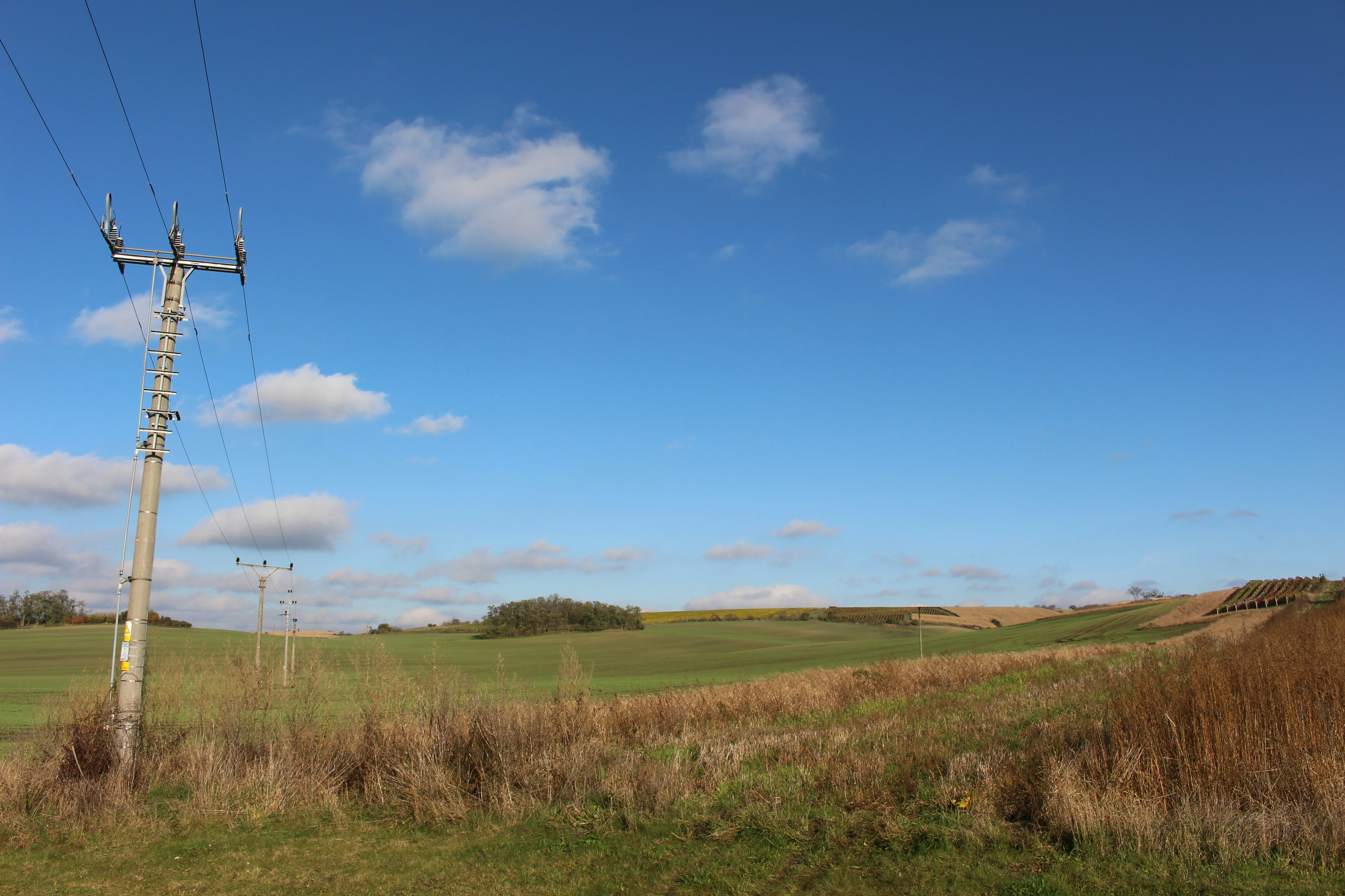 Photo by marjorylucabaxter