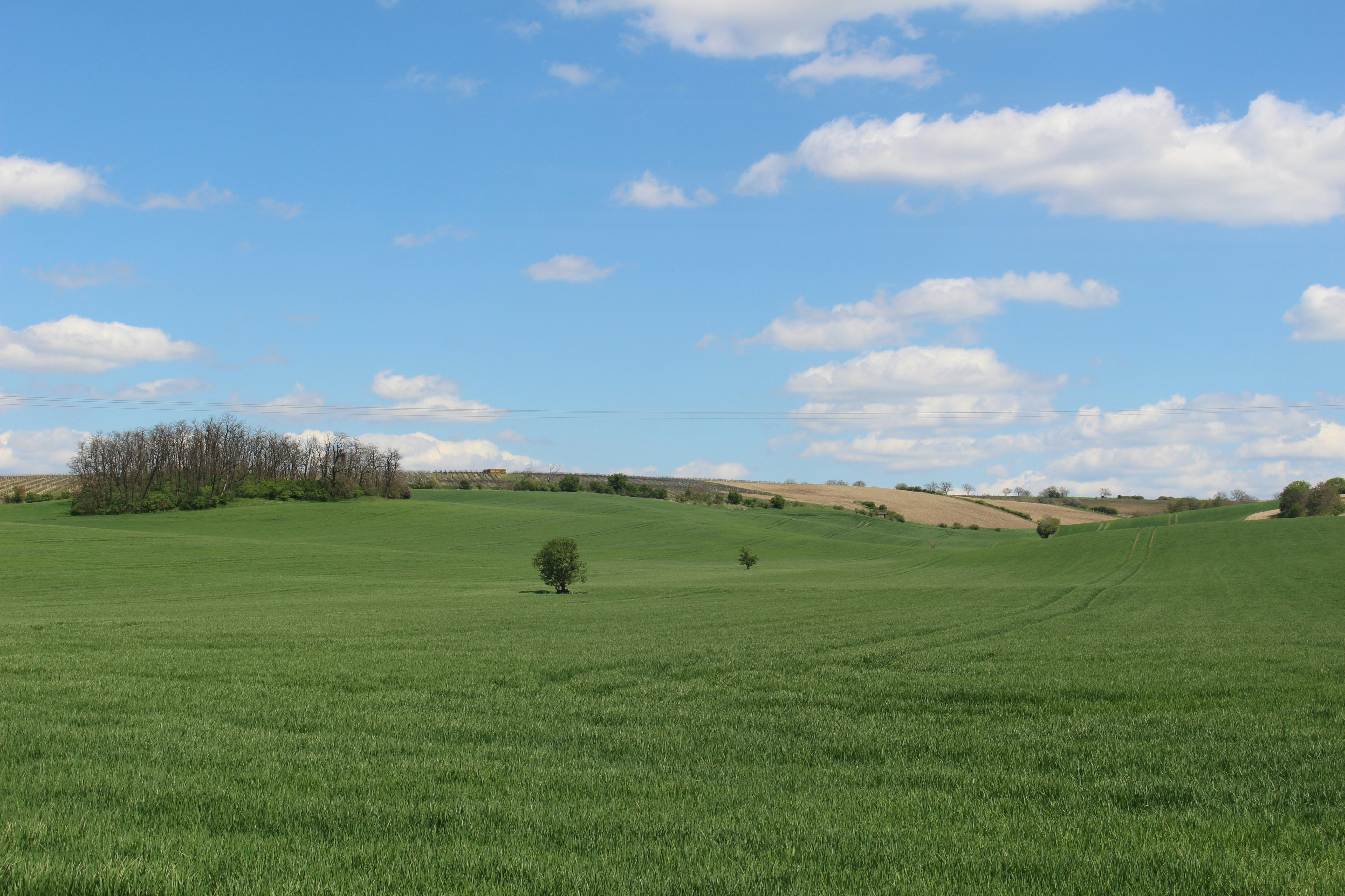 Photo by marjorylucabaxter