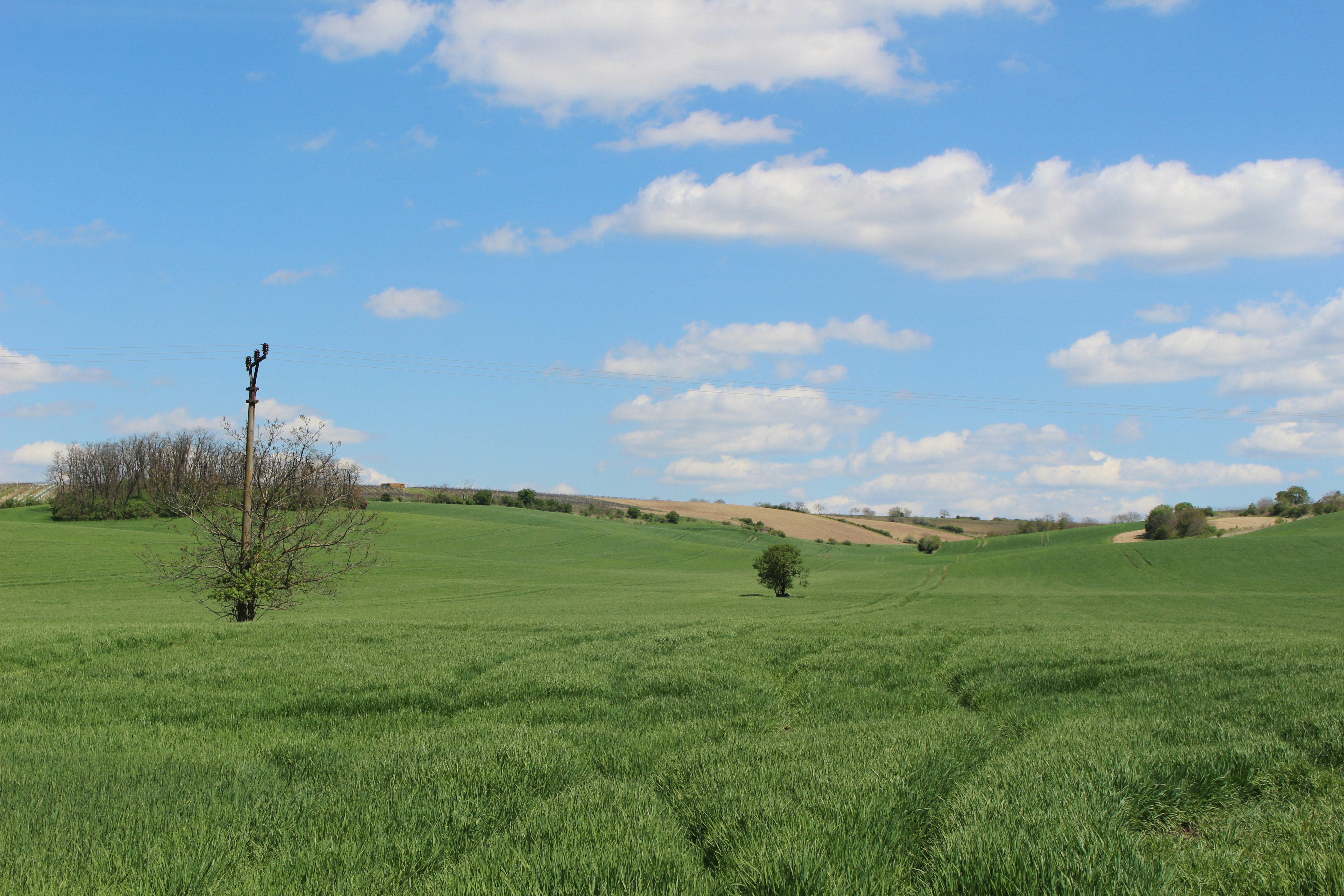 Photo by marjorylucabaxter