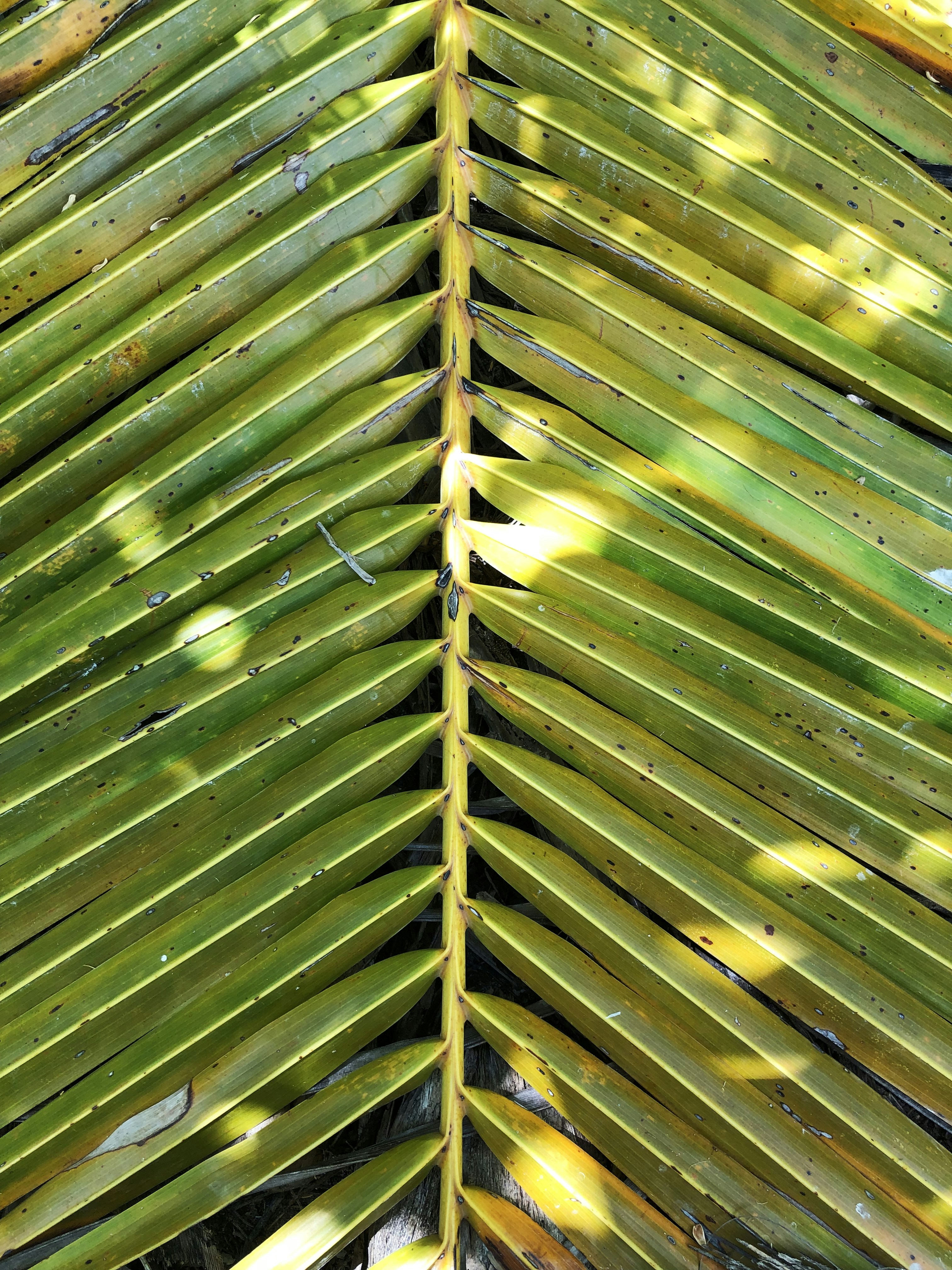 Photo by babeenajeel